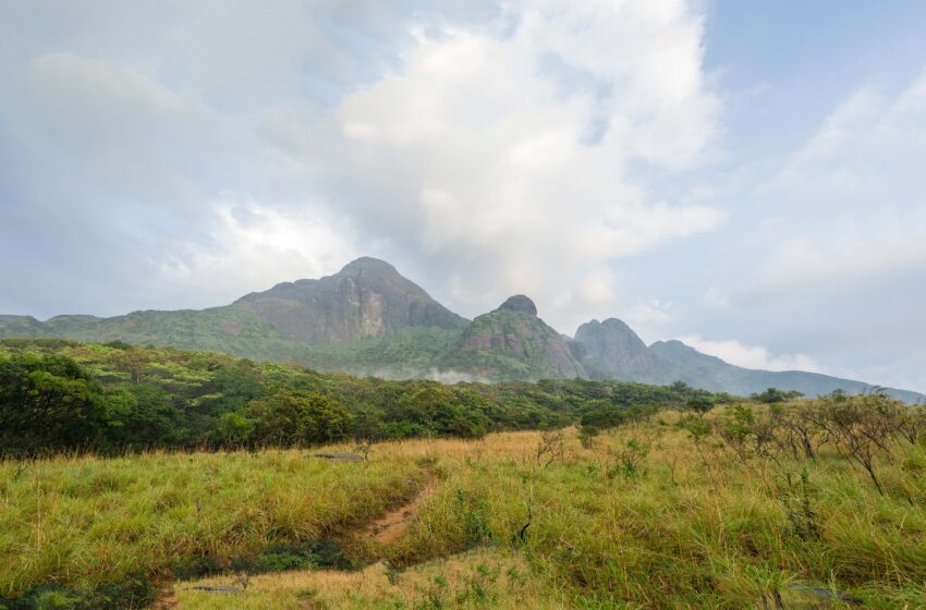  AGASTIAYAMALAI TREKKING